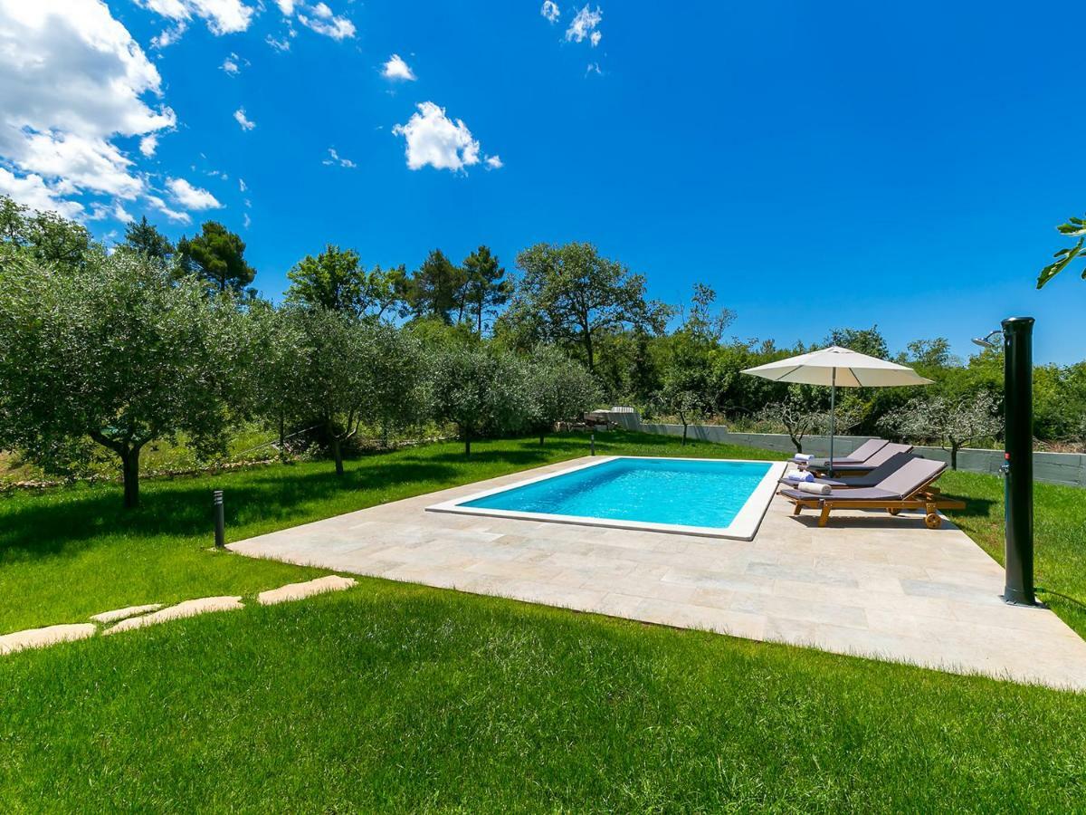 Pool Premium Apartment فيرسار المظهر الخارجي الصورة